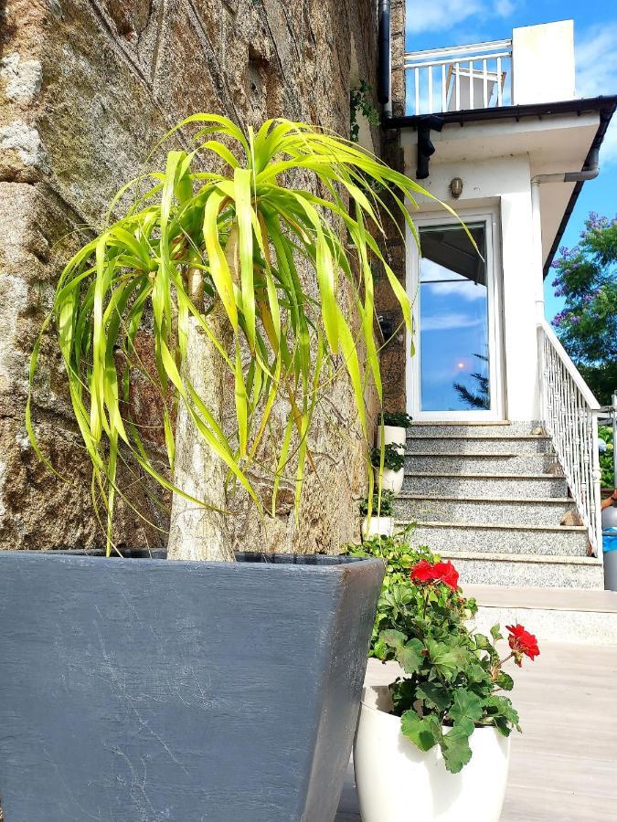 Villa Anselma, Casa Compartida ポンテベドラ エクステリア 写真